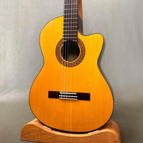 K.Yairi CE-1D NS 