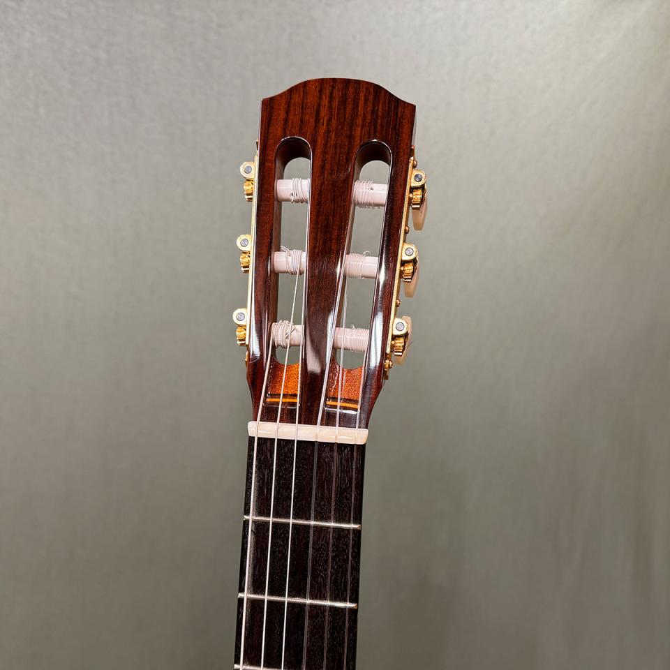 名古屋発Yairi ヤイリCE-1Dエレガット ハードケース付き