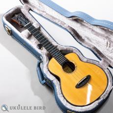 aNueNue aNN-UT330_13