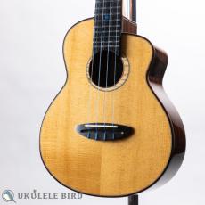 aNueNue aNN-UC330_2