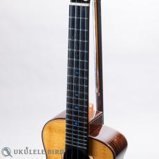 aNueNue aNN-UC330_4