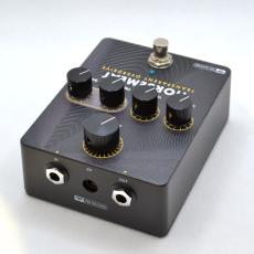 Paul Reed Smith [PRS] HORSEMEAT_2