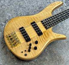 Fodera Monarch 5 Elite【4.93kg】