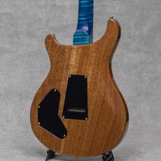 Paul Reed Smith [PRS] Miki 200th Anniv. Wood Library DGT "Artist Grade Top" Laguna Natural Color Back w/Stained Neck_6