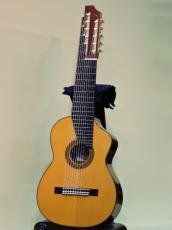 ASTURIAS 11弦ギター_8
