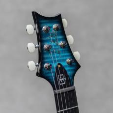 Paul Reed Smith [PRS] Miki 200th Anniv. Wood Library DGT "Artist Grade Top" Sub Zero Smokeburst Black Color Back w/Stained_9