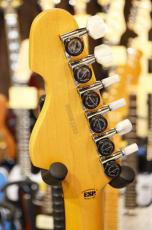 Edwards Platinum Edition KARMASTER_4