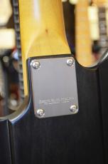 Edwards Platinum Edition KARMASTER_13