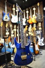 Edwards E-CY-CTM -Dark Aqua-_2
