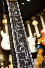 Edwards E-CY-CTM -Dark Aqua-_5