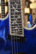 Edwards E-CY-CTM -Dark Aqua-_7