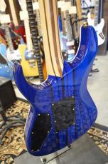 Edwards E-CY-CTM -Dark Aqua-_13