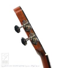 aNueNue aNN-UC100_11