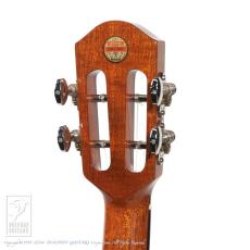 aNueNue aNN-UC100_12