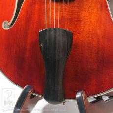 Eastman AR-805 with DeArmond PU_10