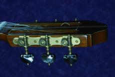 桜井正毅 SPECIAL L.G.O/640mm　松/マダガスカルローズウッド　2024年特注品_5