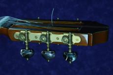 桜井正毅 SPECIAL/L.G.O/650mm　杉/マダガスカルローズウッド　2024年新品特注品　_5