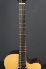 Allman AJA-22V_7