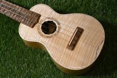 Antar Soprano White Sycamore x Boxelder Maple #2154315