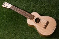 Antar Soprano White Sycamore x Boxelder Maple #2154315_2