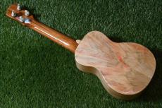 Antar Soprano White Sycamore x Boxelder Maple #2154315_3