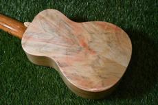 Antar Soprano White Sycamore x Boxelder Maple #2154315_4