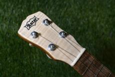 Antar Soprano White Sycamore x Boxelder Maple #2154315_5