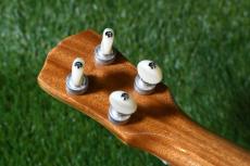 Antar Soprano White Sycamore x Boxelder Maple #2154315_6