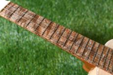 Antar Soprano White Sycamore x Boxelder Maple #2154315_7