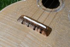 Antar Soprano White Sycamore x Boxelder Maple #2154315_9