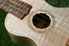 Antar Soprano White Sycamore x Boxelder Maple #2154315_10
