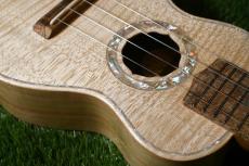Antar Soprano White Sycamore x Boxelder Maple #2154315_11