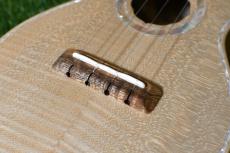 Antar Soprano White Sycamore x Boxelder Maple #2154315_12