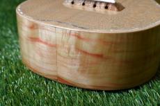 Antar Soprano White Sycamore x Boxelder Maple #2154315_13