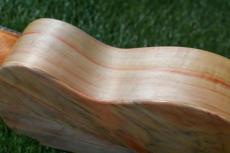 Antar Soprano White Sycamore x Boxelder Maple #2154315_14