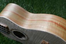Antar Soprano White Sycamore x Boxelder Maple #2154315_15