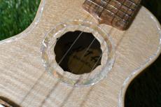 Antar Soprano White Sycamore x Boxelder Maple #2154315_16
