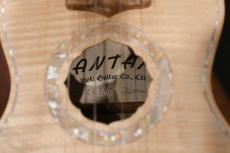 Antar Soprano White Sycamore x Boxelder Maple #2154315_17