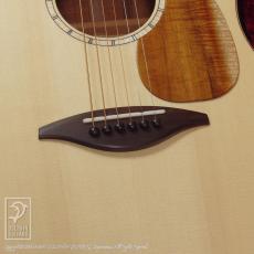 TODA Guitars SD_11