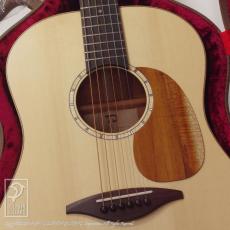 TODA Guitars SD_12