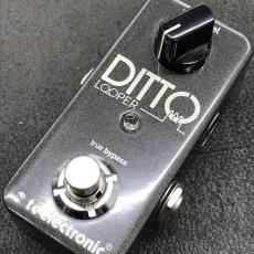 tc electronic DITTO Looper