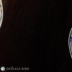 S.Tsuji （辻四郎） STU-5Kja_10