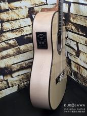 Juan Hernandez [ホアン・エルナンデス]  ホアン・エルナンデス  SAMBA Cutaway Enhance 松・シカモア 【日本総本店2F 在庫品】_10