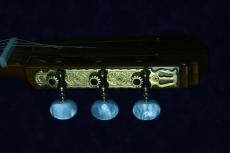 桜井／河野 PROFESSIONAL-J　松/マダガスカルローズ　2016年_5