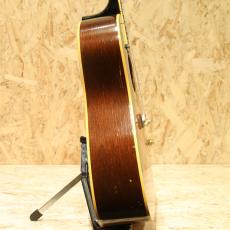 Gibson J-160E_4