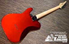 SCHECTER OL-PT-TH CAR【Sホールセミホロウ!】_6