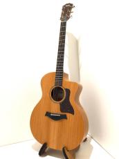 Taylor 24ce_2