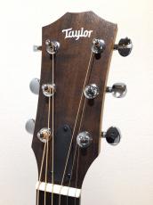 Taylor 24ce_3