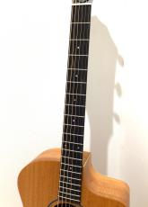 Taylor 24ce_4