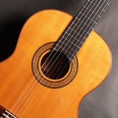 RICHARD SCHMIDT 1980年代製 松 / 中南米ローズ【650mm】【クリアランスセール対象商品】_4